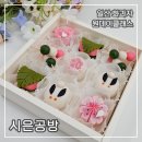 예쁜 간식 화과자 만들기 | 일산 화과자 시은공방 원데이클래스 다녀온 후기 | 예쁜 상견례 선물·답례품 추천