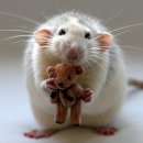 가능동물병원 이미지