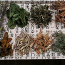 오행쑥뜸 이미지