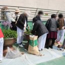[주말]힐링 원예테라피 이미지