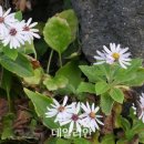 추산 이미지