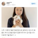 큐티댕냥 하남 본점 강아지 고양이 분양 이미지