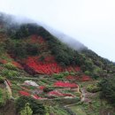 구례숲