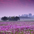 홍재호 농장 이미지