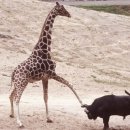 생활영어(초급) 이미지