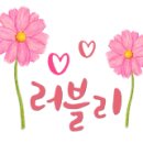 다솜헤어샵 이미지