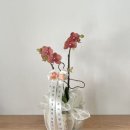 소중한다육;화분