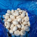 생극농장 이미지