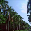 추산공원 | 싼야 여행 후기 (기차 보안검사, 공원 문화, 유학생 추천)