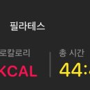 포레스트 스튜디오 네이버블로그