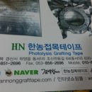 한농접목테이프 이미지