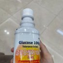 [임신 24-27주] 임신 중기 마무리!(은평성모병원 임당 재검 후기)