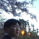 연화분식 이미지