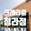 인천크레스티드게코 파는곳 &#39;크레리즘 청라점&#39; 아기 도마뱀 입양후기:)