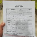 새봄비뇨기과의원 | 임신준비 병원 뺑뺑이 중격자궁 대학병원 소견서
