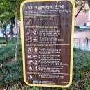 오봉산어린이공원 네이버블로그