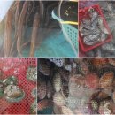 구산면521 이미지