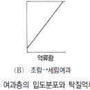 2014년 제16회 3급 주관식 복원(문제는 복원 완료, 답은 여러분의 도움이 더 필요) 이미지