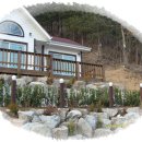 사철나무집 이미지