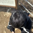 집순이 겨울잠에서 깨어나다.