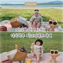 삼락강변공원 | 부산 양산 삼락생태공원 황산공원 아기랑 감성 피크닉 너의하루 피크닉세트 대여