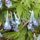 울주 대곡리 반구대 암각화 이미지