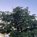 한재초교석불상 이미지