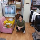 금빛세탁 이미지