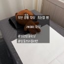 래쉬미왁싱