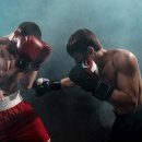 복싱아레나 이미지