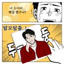 대전탈모병원 모발이식 후기 알아본다면