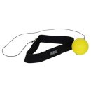 리플렉스 A 이미지