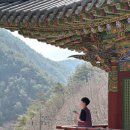 정든다방 이미지