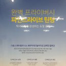 청공썬팅