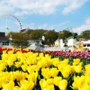 스위트 원더랜드(달콤한 상상) 이미지