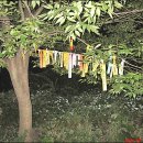 성암목장 이미지