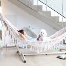 스테이위드독 이미지