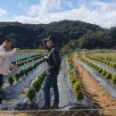 유계리 농장 이미지