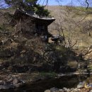 영천선비 이미지