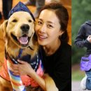 I-pet 동물병원 이미지