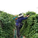 학진농장 이미지