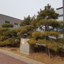 수원-1262 이미지