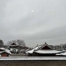 오키드고멧 안국