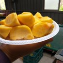 진현농장 이미지