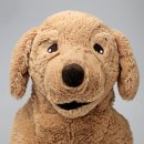 김밥나라(세종점) | 2025년 7월 일상| 먹고 먹는 백수일상, 그래요 나 배부른 돼지에요