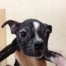 마포구청 이미지