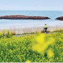 도초 외남리 석장승 | 영화 속 장면 같은 신안 비금도, 도초도