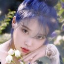 아이유 티스토리