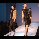 펄스젬생명공학 이미지