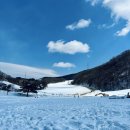 행운목장 | 강릉 여행갔다가 곁다리로 같이 갈만한 평창 대관령 하늘목장 내돈내산 후기